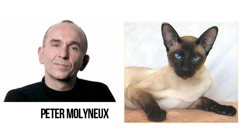 Illustration for article titled Game Developers Look Like Cats. It’s Weird.